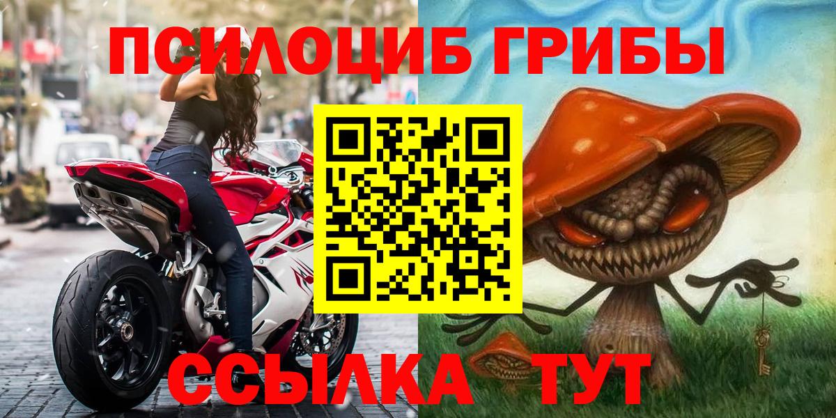 Псилоцибиновые грибы мицелий Курчатов
