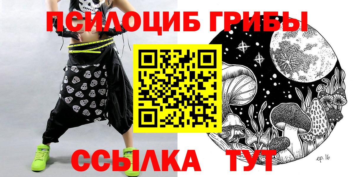 Курчатов  Псилоцибиновые грибы прущие грибы  Псилоцибиновые грибы Cubensis  Вход с VPN 
